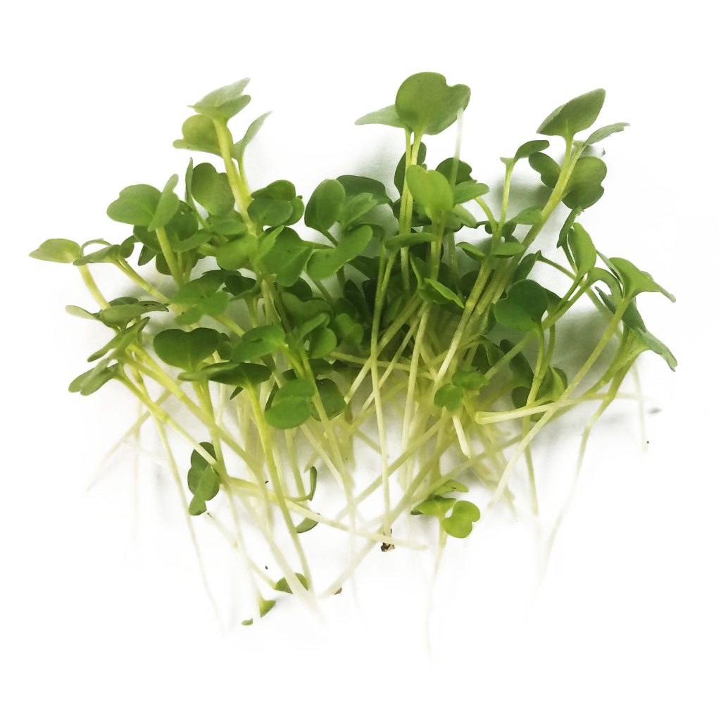 Fresh microgreens | Hand-Grown Greens