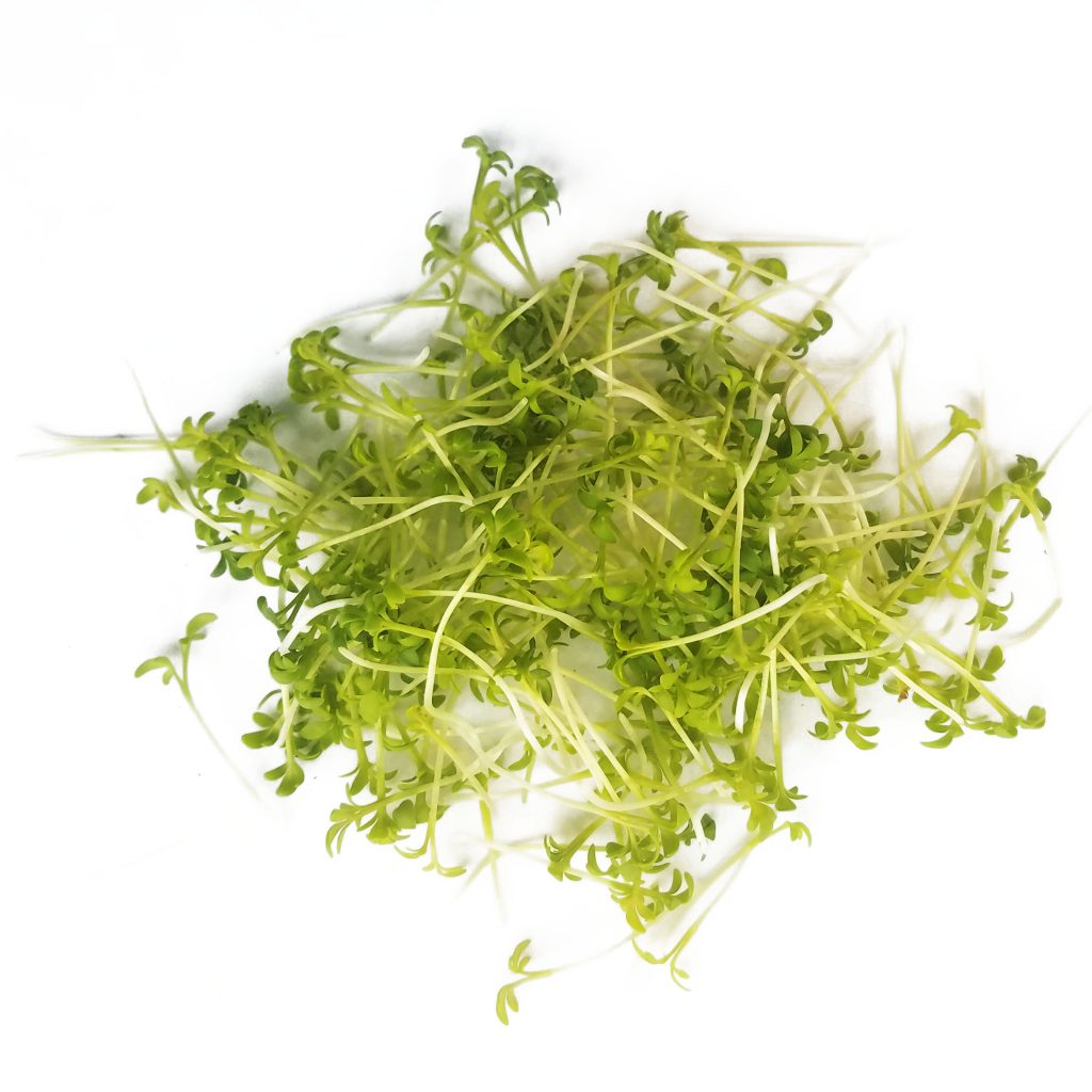 Fresh microgreens | Hand-Grown Greens