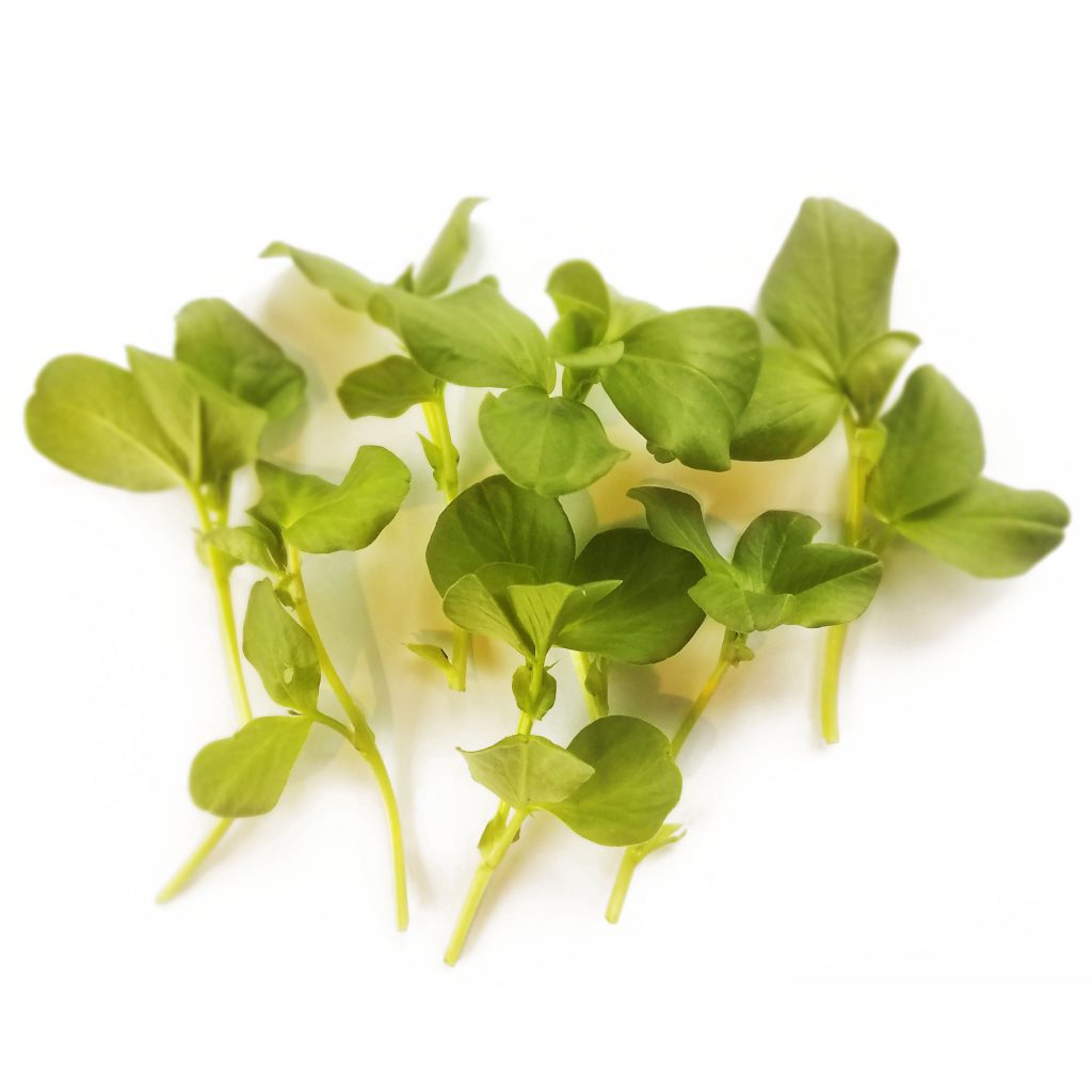 Fresh microgreens | Hand-Grown Greens