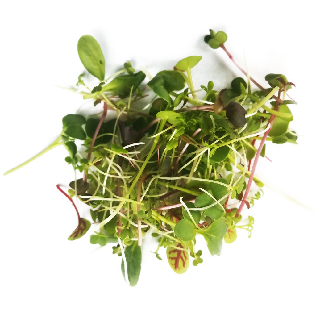 Fresh microgreens | Hand-Grown Greens