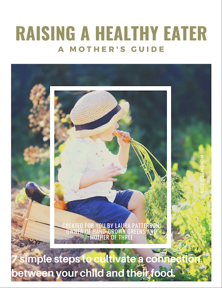 guide to raising a healthy eater preview