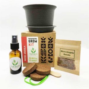 microgreen grow kit arugula