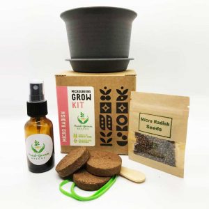 radish microgreen grow kit