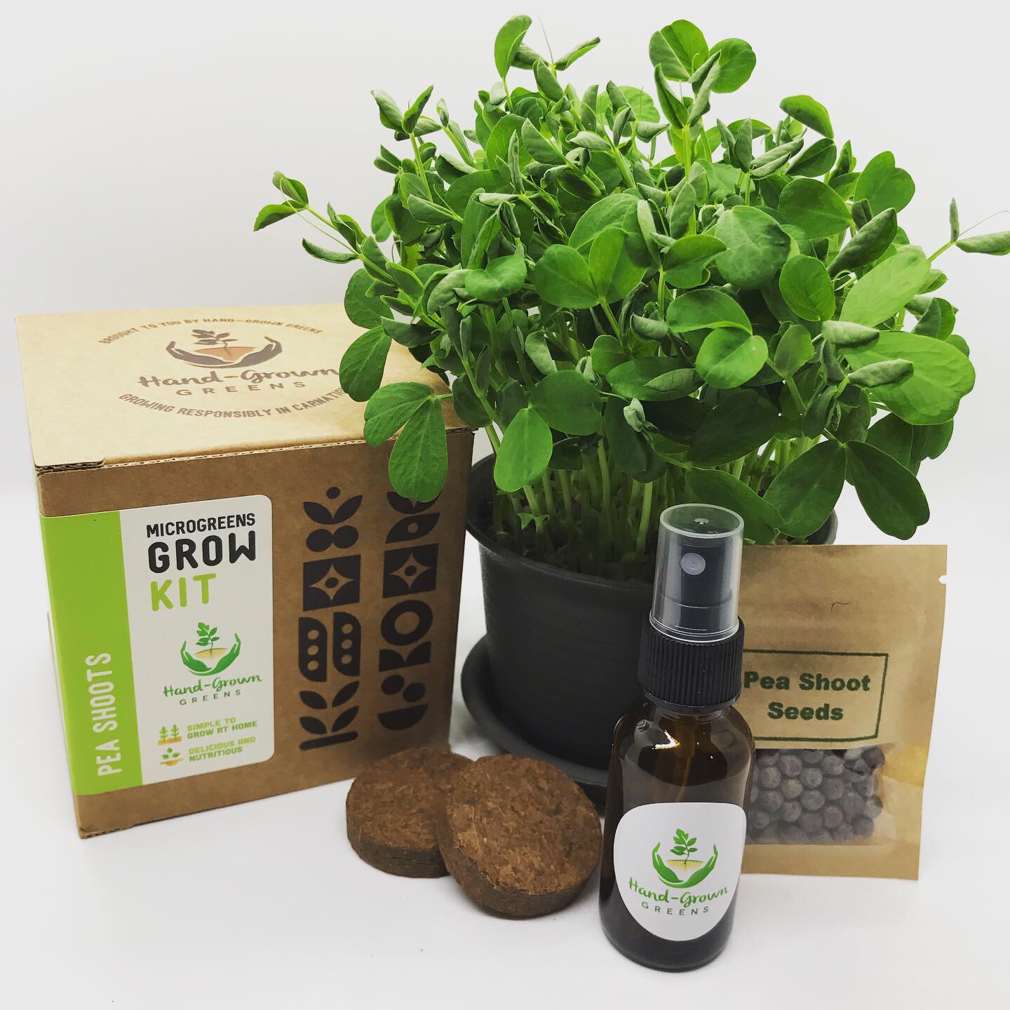 Pea shoots growing kit