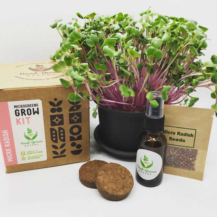 micro radish grow kit