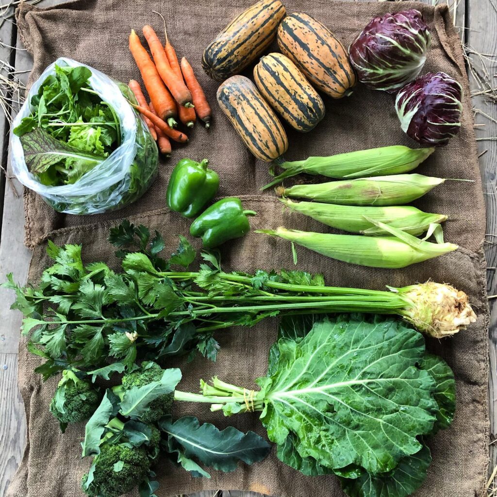 Beautiful vegetables from a local CSA farm