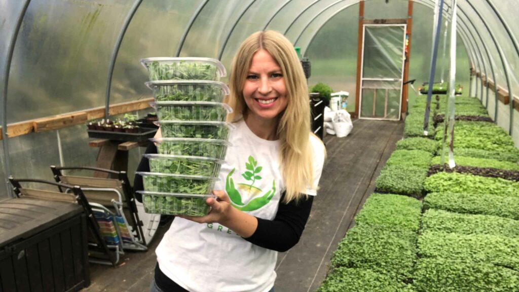 growing microgreens for profit